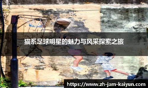 猫系足球明星的魅力与风采探索之旅