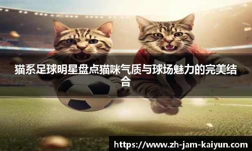 猫系足球明星盘点猫咪气质与球场魅力的完美结合